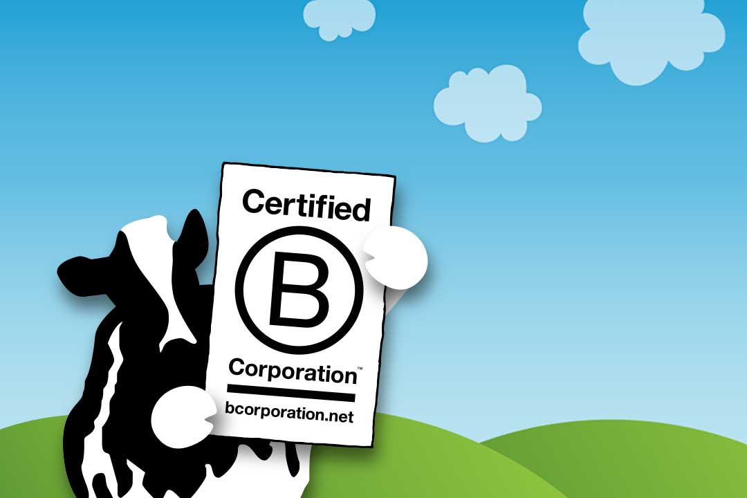 Cow holding a B Corp sign