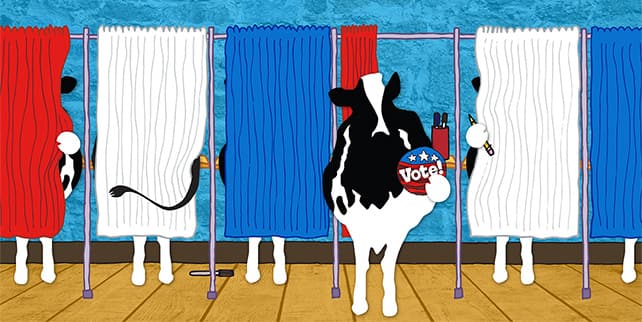 woody-voting-booths-642x322.jpg (Print)